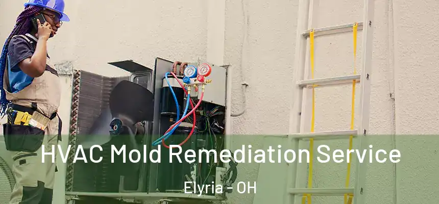  HVAC Mold Remediation Service Elyria - OH