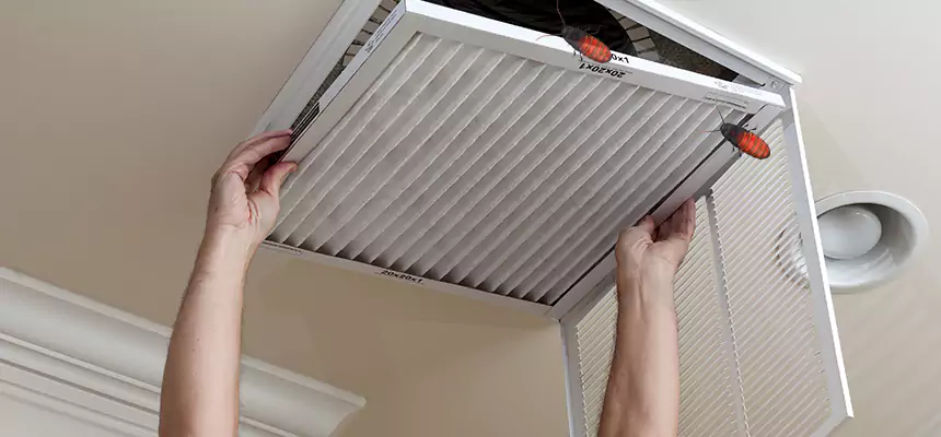 Preventive Cockroach-Proofing for Ducts in Elyria
