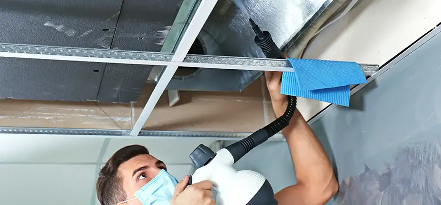 Our Air Duct Rodent Removal Services in Elyria, OH