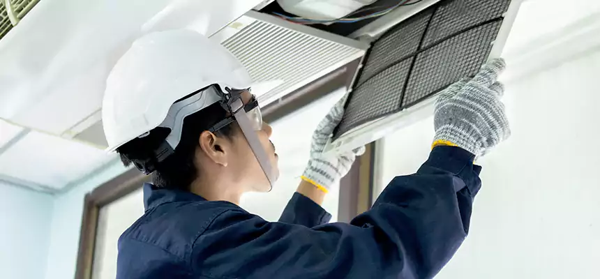 Our Mold & Mildew Removal from Air Ducts Services in Elyria, OH