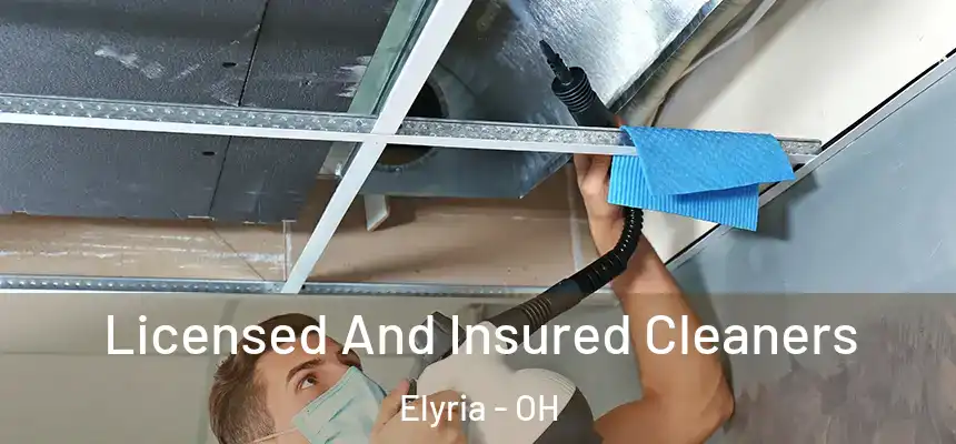  Licensed And Insured Cleaners Elyria - OH