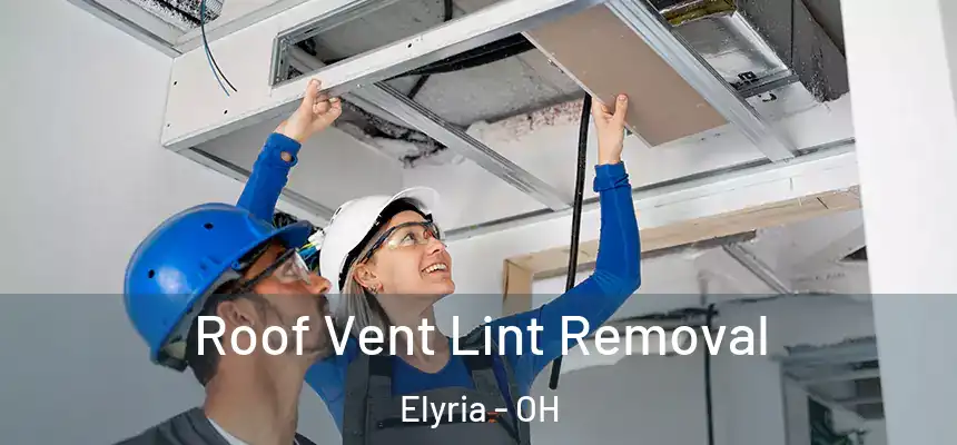  Roof Vent Lint Removal Elyria - OH