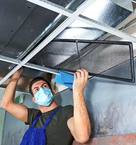 About Air Duct Bacteria Removal in Elyria