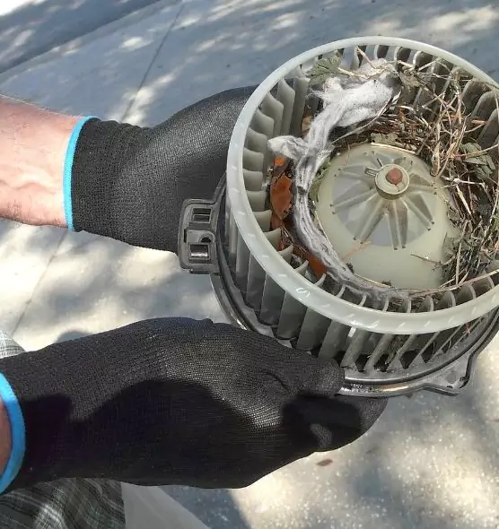 About Air Duct Mice Removal in Elyria, OH