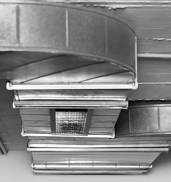 Professional Air Duct Pest Removal in Elyria, OH