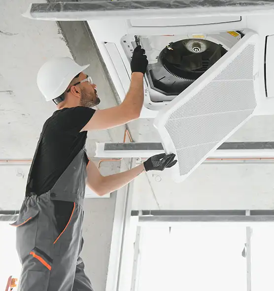 About Air Duct Rodent Removal in Elyria, OH