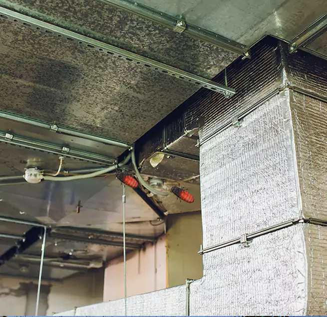 Why Homeowners & Businesses Trust Us in Elyria, OH?