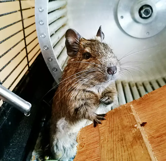 Why Homeowners & Businesses Trust Us Elyria, OH?