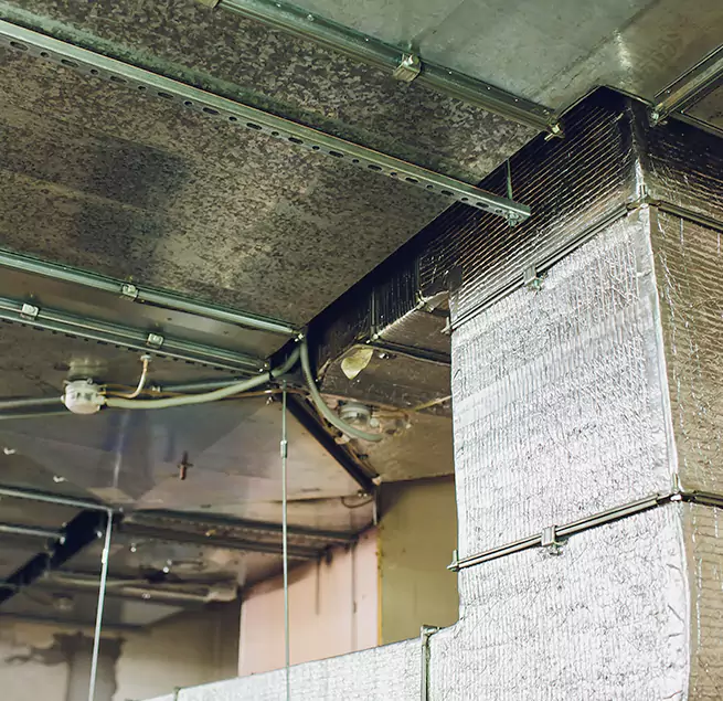 Why Homeowners & Businesses Trust Us in Elyria, OH?